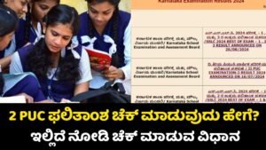 karnataka 2nd puc result 2025