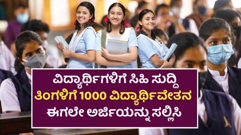 Merit-Based Scholarship