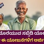 Subsidy schemes