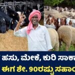 Subsidy Scheme