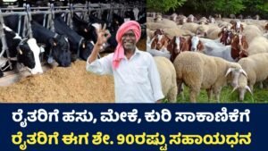 Subsidy Scheme