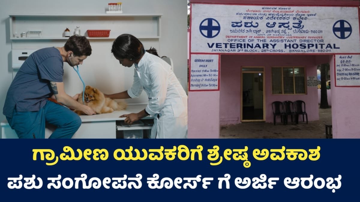 Veterinary Diploma