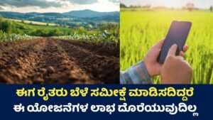 Crop Survey Update