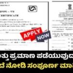 Birth And Death Certificate